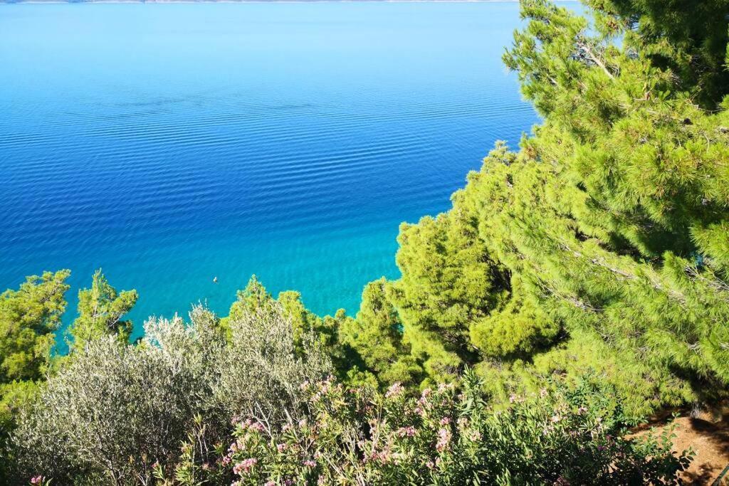 Beautiful Apartment 80 M From The Sea Marusici  エクステリア 写真